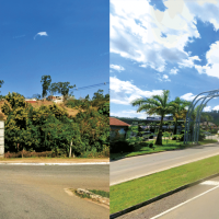 Conexão entre raízes, voos e retornos