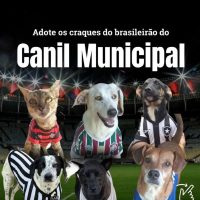 Craques de Quatro Patas: Juiz de Fora Lança Campanha de Adoção Inusitada!